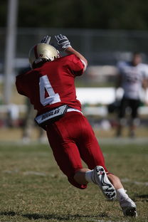 leyu平台-中超球队传球链路密集度评分系统